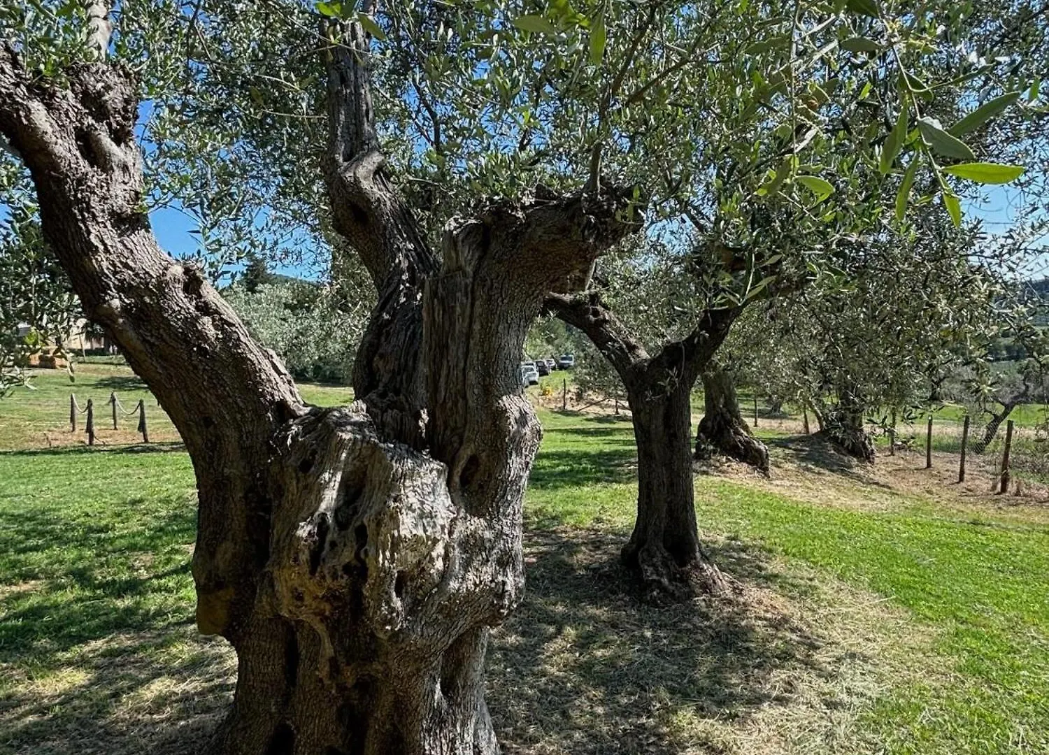 Relais Dei Molini - Villa Dei Molini Castagneto Carducci Nocleg ze śniadaniem
