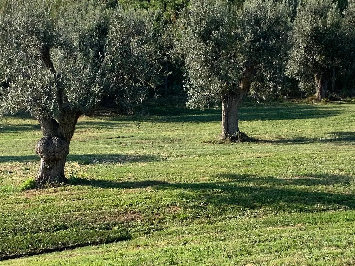 Relais Dei Molini Bed & Breakfast Castagneto Carducci 2*,