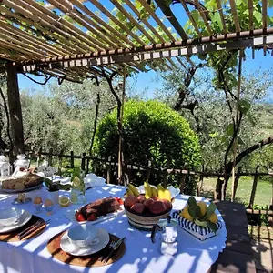 Ferienhaus Carducci, Castagneto Carducci